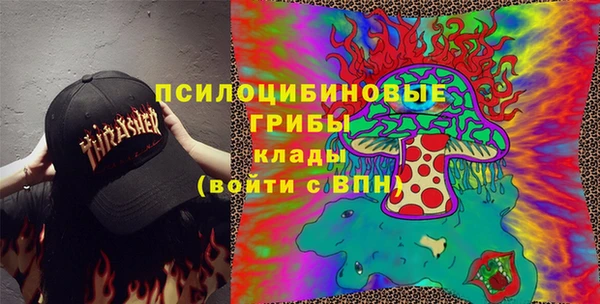 кокс Белокуриха