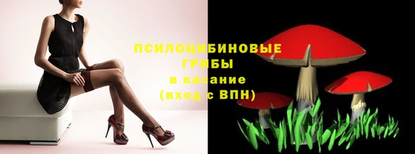 кокс Белокуриха