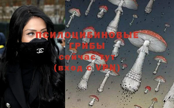 ешки Белоозёрский